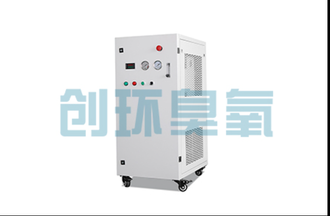 大厂工厂化养鲈必看：2026年臭氧发生器替代传统消毒的最新方案