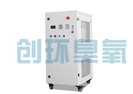 大厂石斑鱼养殖水质调控完整指南：臭氧发生器配置与操作步骤