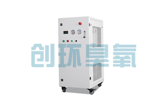 大厂比传统换水更高效？臭氧发生器在石斑鱼养殖中的水质净化原理解析