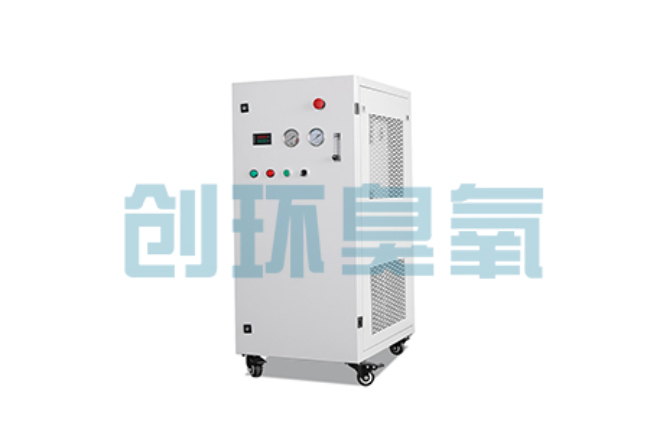 大厂比传统换水更高效？臭氧发生器在石斑鱼养殖中的水质净化原理解析